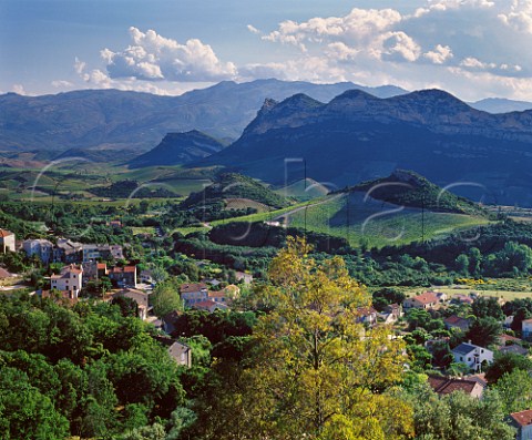 View over village of Patrimonio and its surrounding   vineyards HauteCorse Corsica France   AC Patrimonio