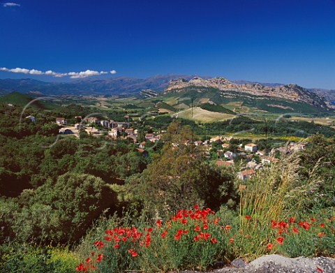 View over the village of Patrimonio and   its vineyards HauteCorse Corsica France     AC Patrimonio