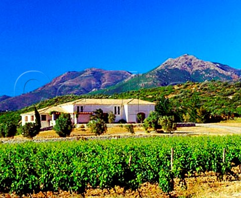 Winery and vineyard of Domaine Leccia   near StFlorent HauteCorse Corsica France   AC Patrimonio