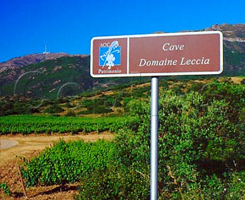 Sign for the winery of Domaine Leccia   near StFlorent HauteCorse Corsica France   AC Patrimonio