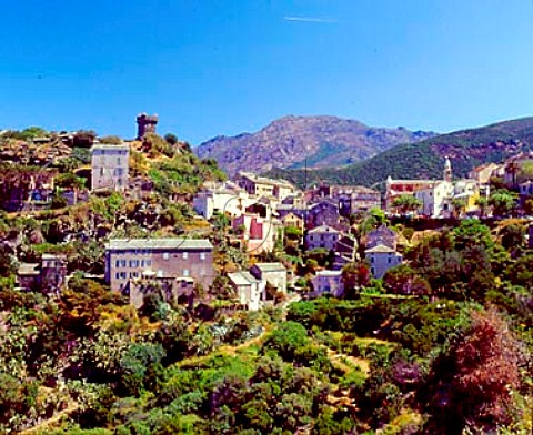 Village of Nonza on the west side of Cap Corse   HauteCorse Corsica France