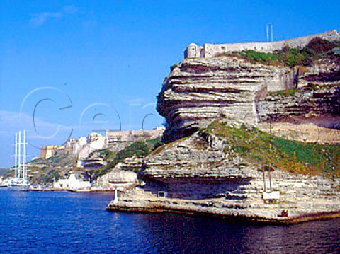 Bonifacio harbour CorseduSud Corsica France