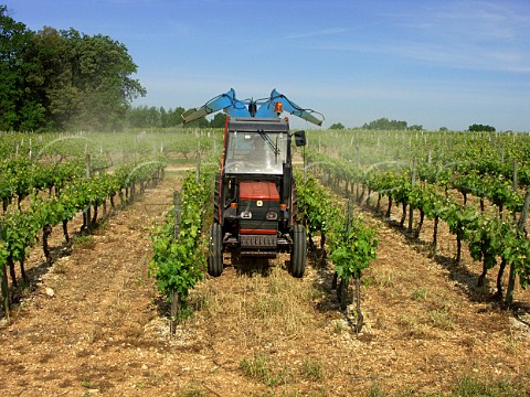 Spraying vines near Vibrac  Charente France   Cognac