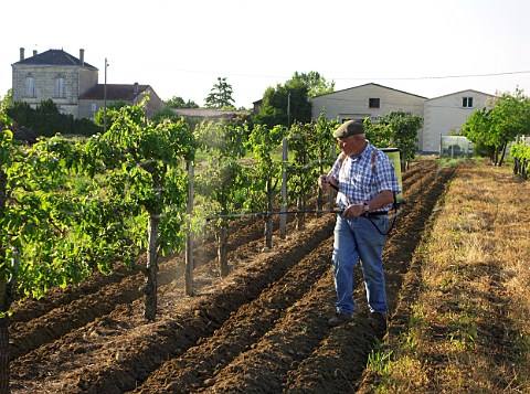 Spraying vines at Chteau Cailleteau Bergeron   Mazion  Gironde France     Premires Ctes de Blaye  Bordeaux