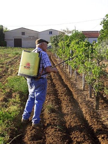 Spraying vines at Chteau Cailleteau Bergeron   Mazion  Gironde France     Premires Ctes de Blaye  Bordeaux