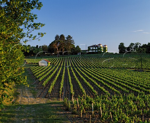 Chteau Pardaillan and its vineyards Cars  Gironde France     Premires Ctes de Blaye  Bordeaux