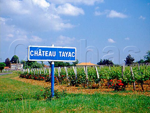 Sign for Chteau Tayac StSeurindeBourg   Gironde France Ctes de Bourg  Bordeaux