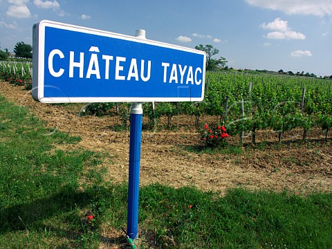 Sign for Chteau Tayac StSeurindeBourg   Gironde France Ctes de Bourg  Bordeaux
