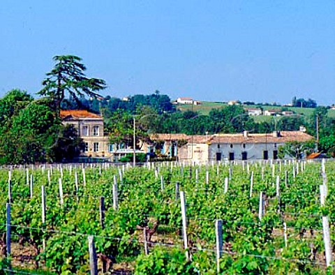 Chteau Rouselle seen across its vineyards Plassac  Gironde France Ctes de Bourg  Bordeaux