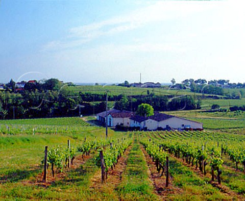 Chteau Lalibarde and its vineyards near Bourg    Gironde France   Ctes de Bourg  Bordeaux