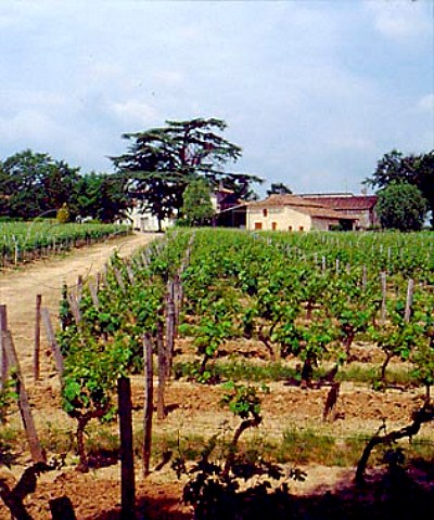 Chteau Dalem and its vineyards Saillans  Gironde   France   Fronsac  Bordeaux