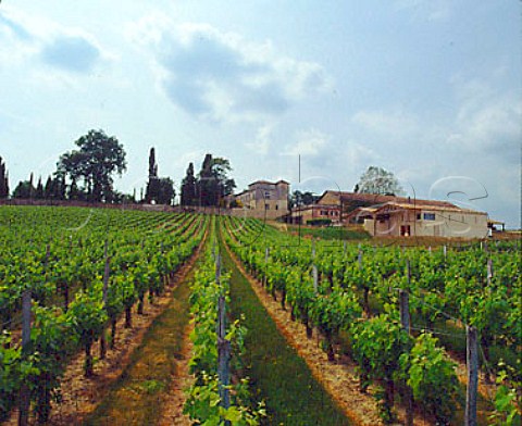 Chteau de Carles and its vineyards Saillans  Gironde France  Fronsac  Bordeaux