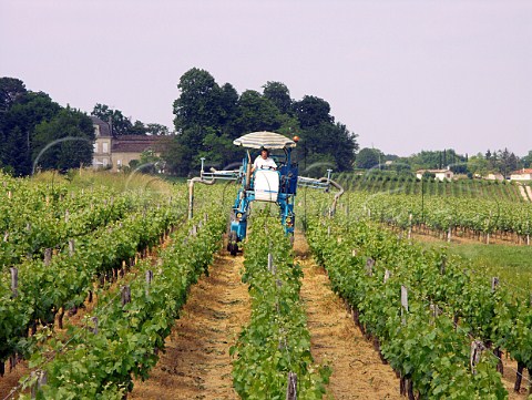 Spraying vines at Chteau Guillou  Gironde France   StGeorgesStmilion  Bordeaux