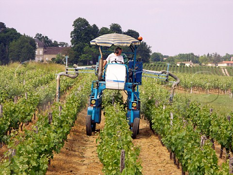 Spraying vines at Chteau Guillou  Gironde France   StGeorgesStmilion  Bordeaux