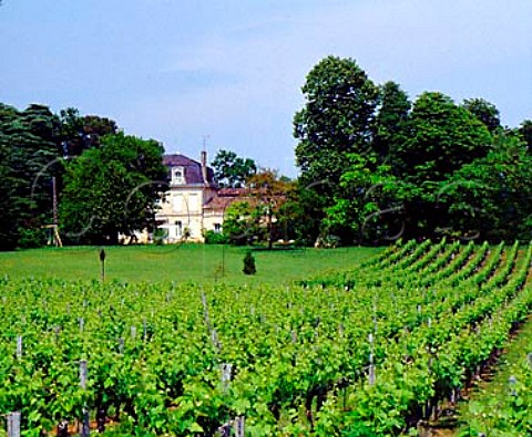 Chteau StAndr Corbin and its vineyards Troquard   Gironde France StGeorgesStmilion  Bordeaux