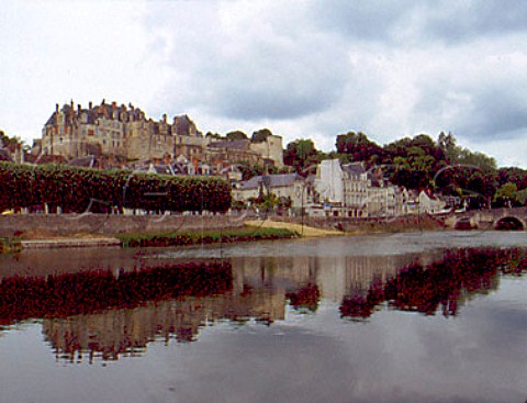 River Cher at StAignan LoireetCher France   Touraine