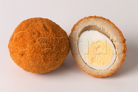 Scotch Egg