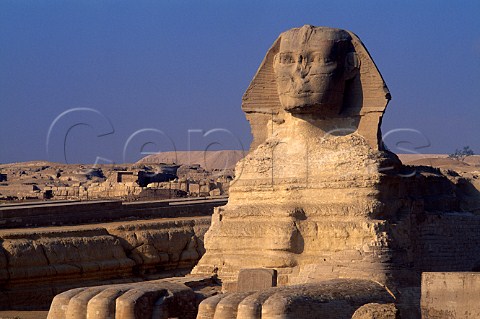 The Sphinx Giza Egypt