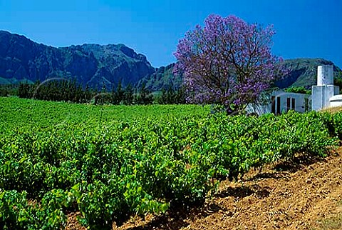 Klein Drakenstein Vineyards Paarl   Cape Province South Africa Paarl WO