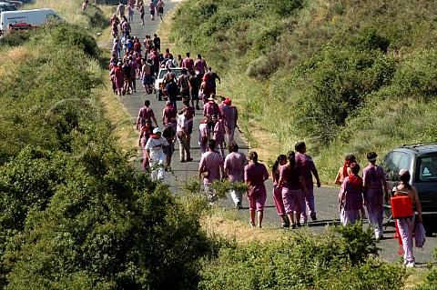 Revellers returning to Haro after the Battle of the   Wine Festival held every year on 29 June La Rioja   Spain