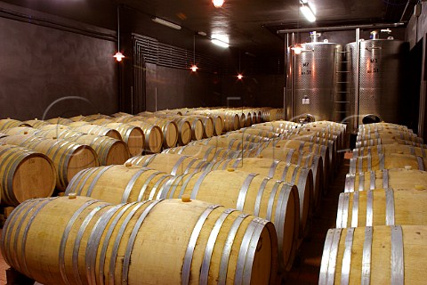 Barrel cellar of Livio Felluga winery Brazzano di   Cormons Friuli Italy   Collio