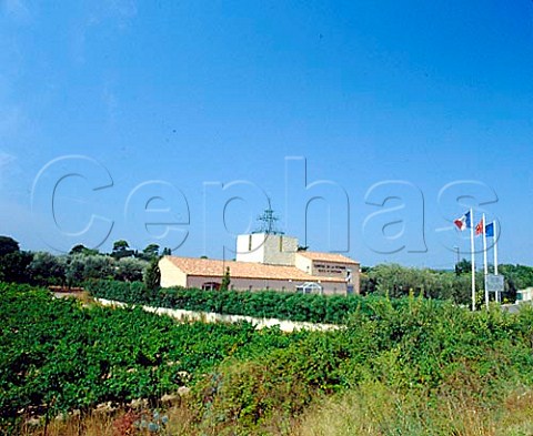 Chteau de la Payrade and its vineyards   Frontignan Hrault France   Muscat de Frontignan
