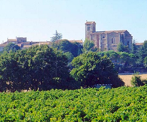 Church and vineyards StChristol Hrault France   Coteaux du Languedoc StChristol