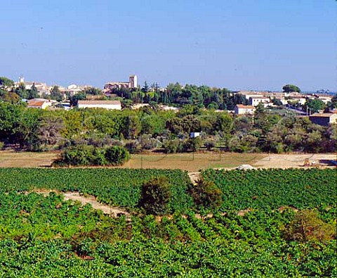 StChristol village seen from the vineyards of   Domaine de la Coste Hrault France   Coteaux du Languedoc StChristol