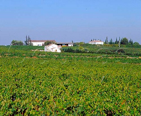 Domaine de la Coste and its vineyards  StChristol Hrault France   Coteaux du Languedoc StChristol
