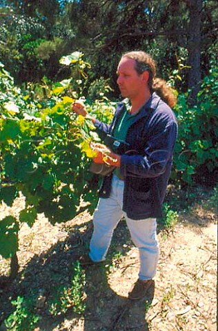 Richard Auther at Domaine La Courtade   Ile de Porquerolles Hyres Var France  Ctes de Provence