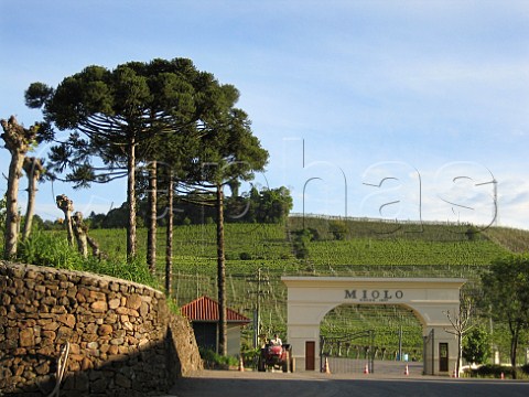 Entrance to Miolo winery and vineyards  Serra   Gacha Rio Grande do Sul Brazil
