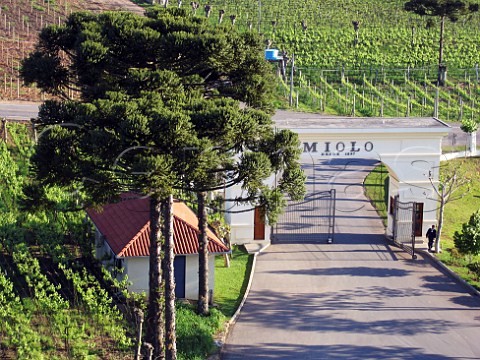 Entrance to winery and vineyards of Miolo  Serra   Gacha Rio Grande do Sul Brazil