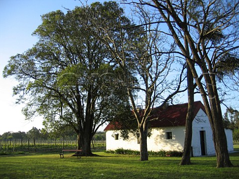 Bouza winery and vineyard Canelones Uruguay