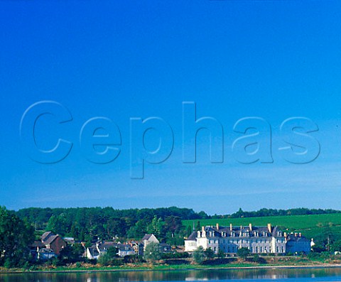 Vineyards above the Abbaye de SaintMaur and River Loire StMaure MaineetLoire France