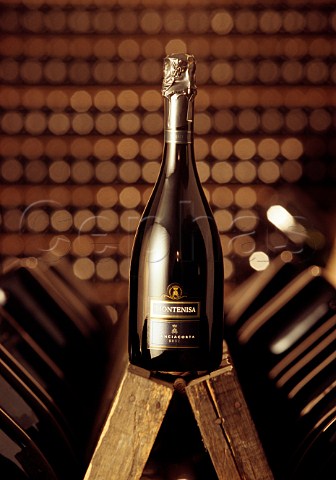 Bottle of sparkling wine in the cellars   of Montenisa Calino Lombardy Italy     Franciacorta