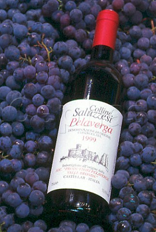 Bottle of Colline Saluzzesi wine with   Pelaverga grapes  Cuneo Piemonte Italy