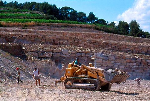 Constructing new vineyard terraces at   Moulin des Costes of Domaines Bunan   Bandol Var France