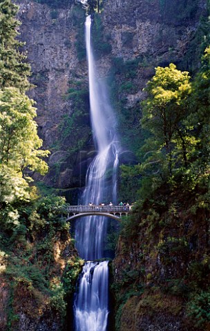 Multnomah Falls in the Columbia River Gorge Oregon   USA