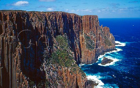 Dolerite columns at Cape Raoul Tasman National   Park Tasmania Australia