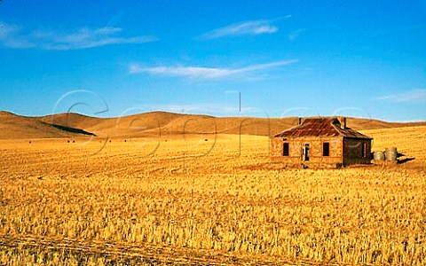 Abandoned homestead near Burra   South Australia