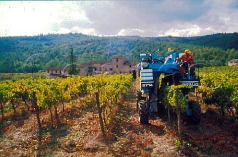 Machine harvesting grapes in vineyard of   Castello di Cerreto Pianella Tuscany   Italy  Chianti Classico