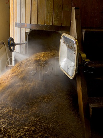 Emptying the fermentation vat of malted barley Hogs Back Brewery Tongham Surrey England