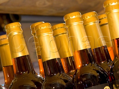 Beer bottle tops Hogs Back Brewery Tongham   Surrey England