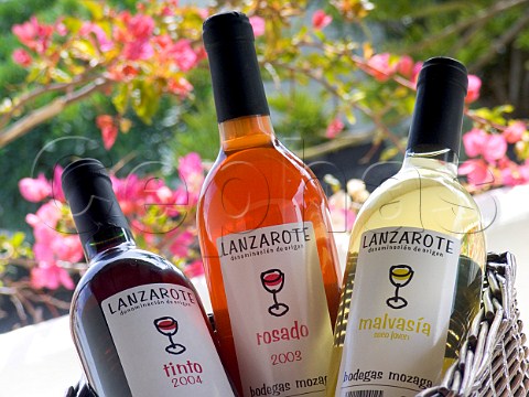 Bottles of Bodegas Mozaga Tinto Rosado and Malvasia   wine Lanzarote Canary Islands Spain  Lanzarote