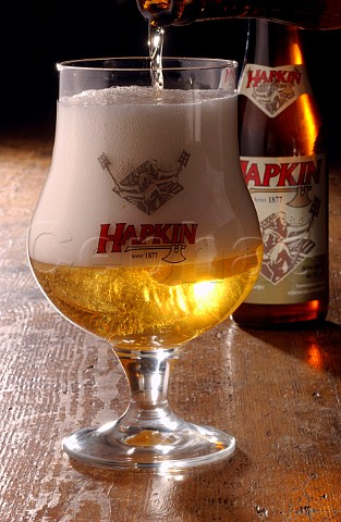 Glass and bottle of Hapkin beer Belgium