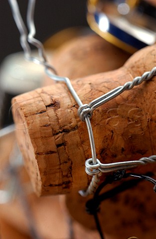 Champagne corks and cages
