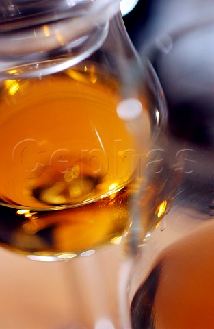 Single malt whisky in glass