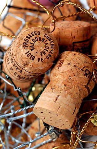 Italian sparkling wine corks and wire cages