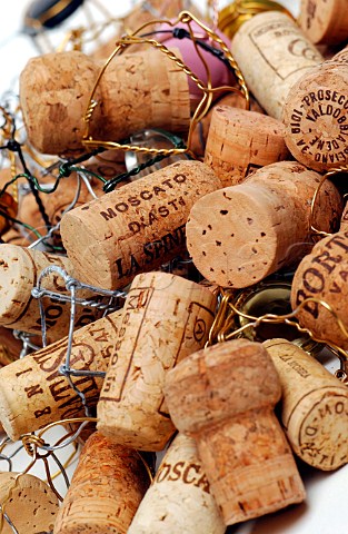 Italian sparkling wine corks and wire cages