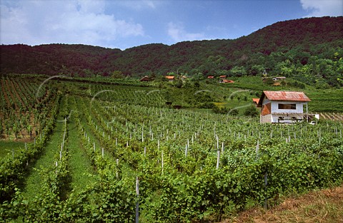 Klets traditional huts in vineyard at  Klanjec Zagorje Croatia